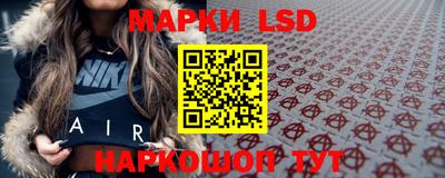 амф Сланцы