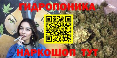 амф Сланцы