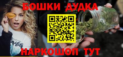 амф Сланцы
