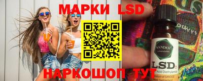 амф Сланцы