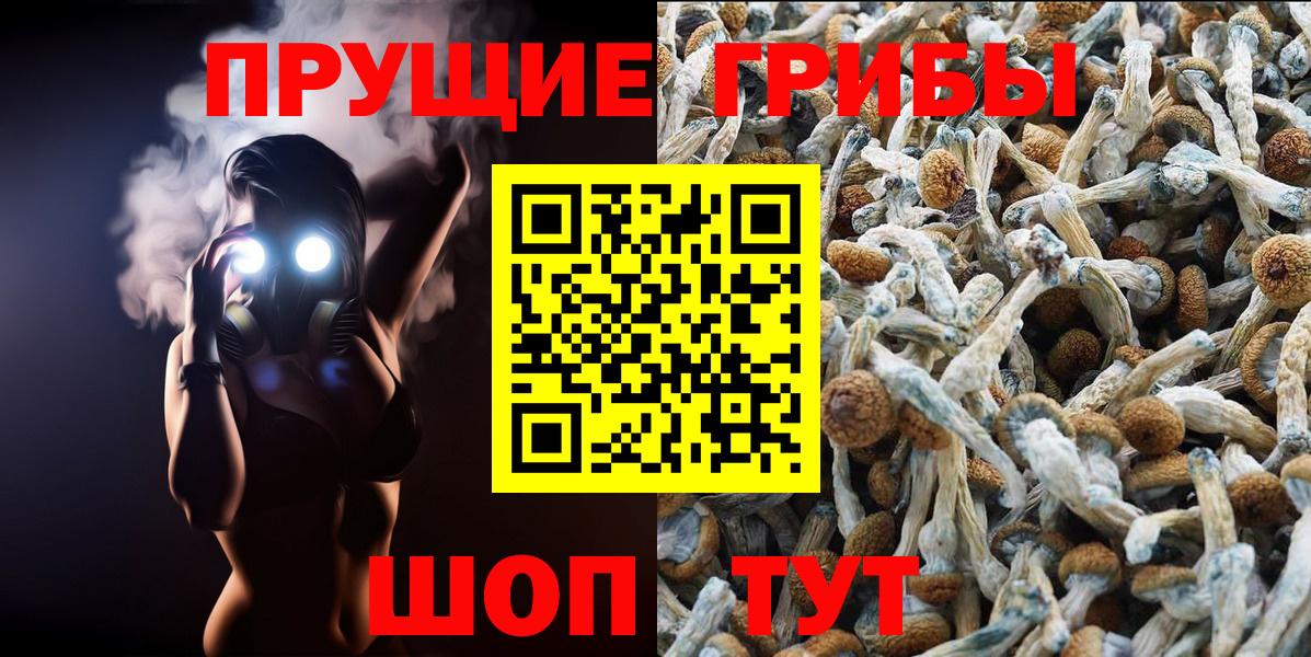 Галлюциногенные грибы Cubensis Можайск