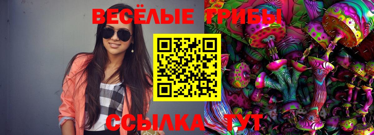 Можайск  Галлюциногенные грибы Magic Shrooms  Вход с VPN 